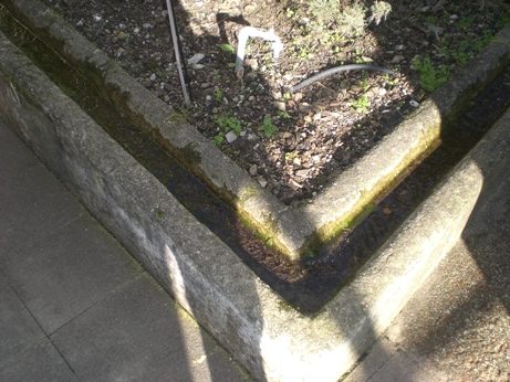 13 Giardino della Minerva.JPG